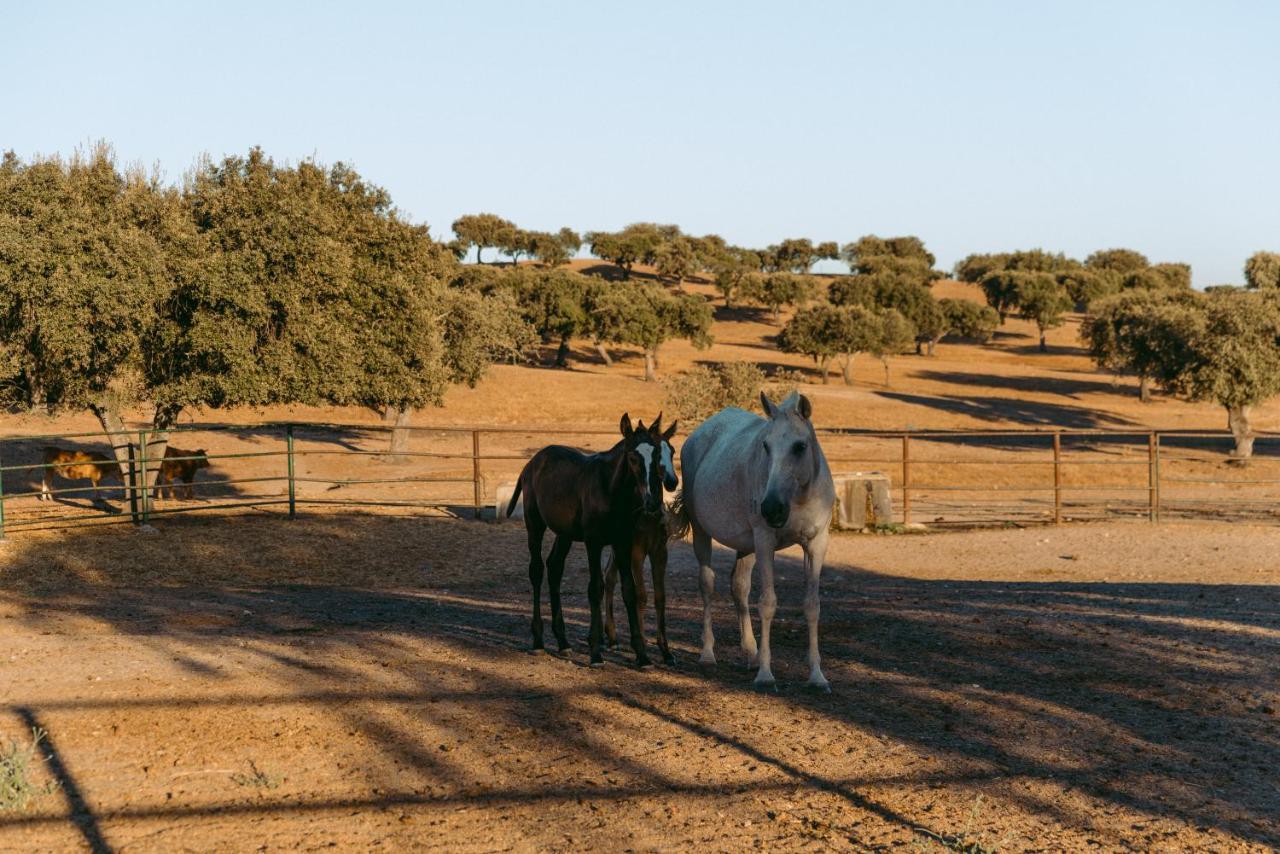 Herdade Da Caniceira Ervedal Exteriér fotografie